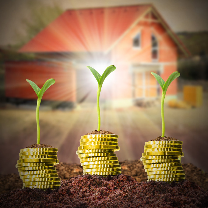 Estate Planning
